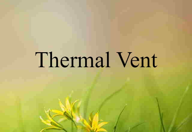 thermal vent