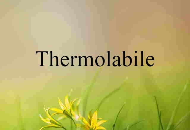 Thermolabile (noun) Definition, Meaning & Examples