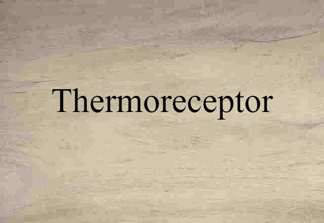 thermoreceptor