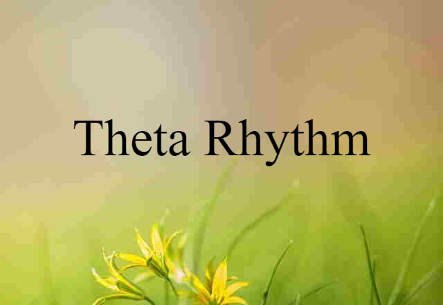 theta rhythm