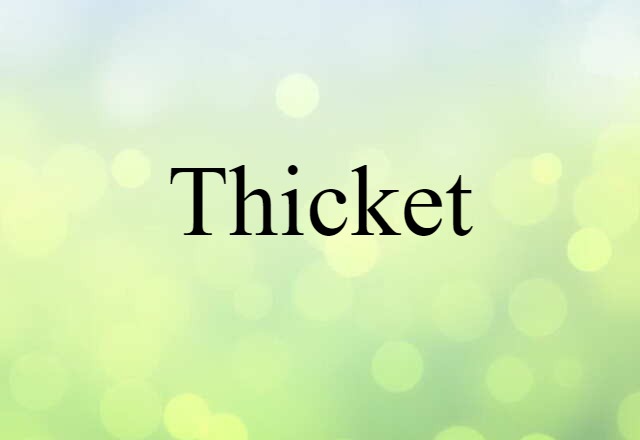 thicket