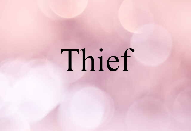 Thief (noun) Definition, Meaning & Examples