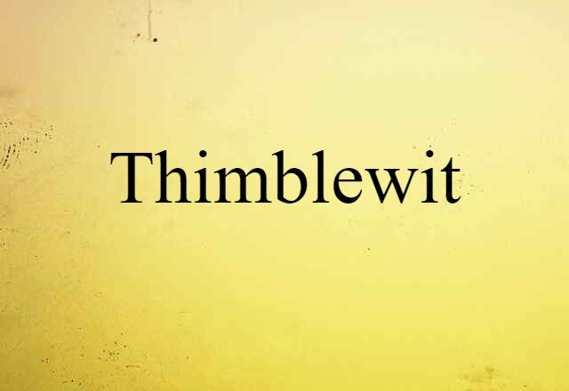 Thimblewit (noun) Definition, Meaning & Examples