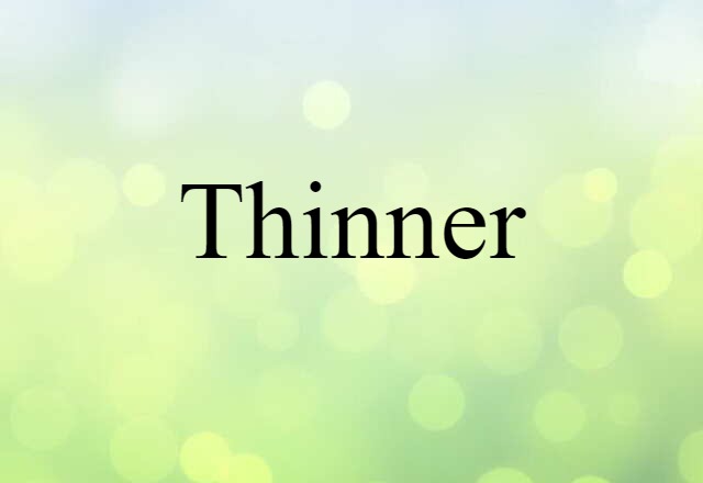 Thinner (noun) Definition, Meaning & Examples