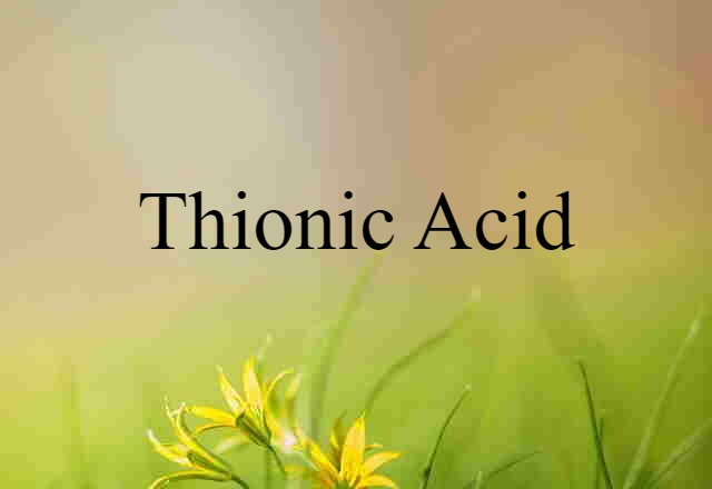 Thionic Acid (noun) Definition, Meaning & Examples