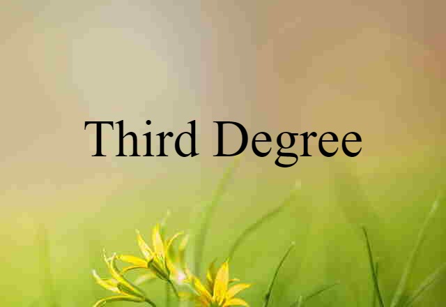 Third Degree (noun) Definition, Meaning & Examples