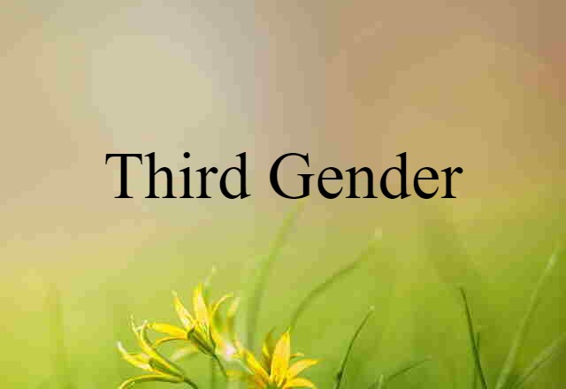 Third Gender (noun) Definition, Meaning & Examples