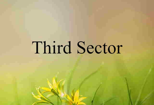 third sector