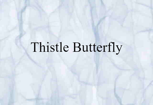 thistle butterfly