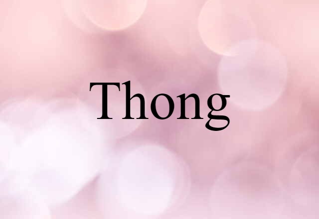 Thong (noun) Definition, Meaning & Examples