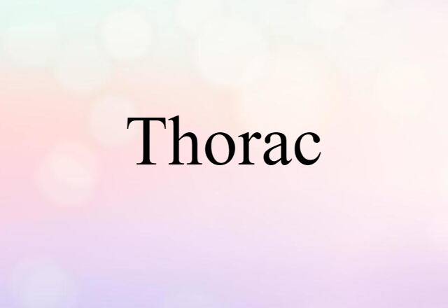 Thorac (noun) Definition, Meaning & Examples