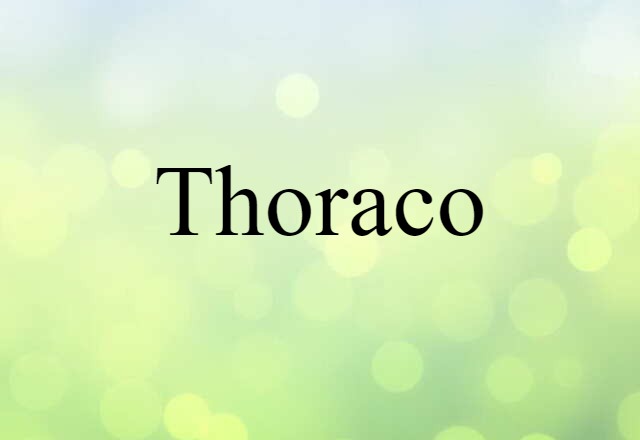 Thoraco (noun) Definition, Meaning & Examples