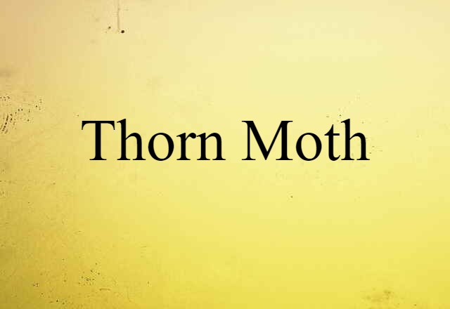 thorn moth