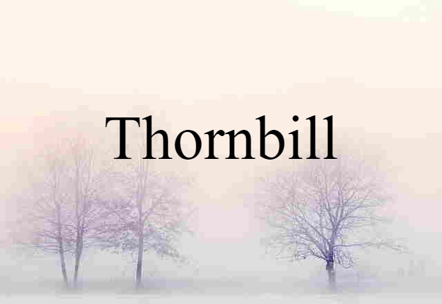 thornbill