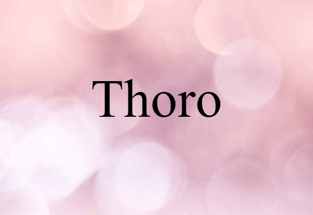 Thoro (noun) Definition, Meaning & Examples