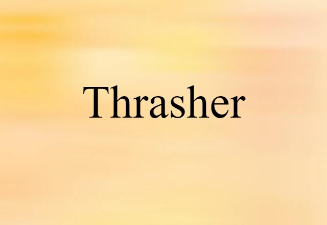 Thrasher (noun) Definition, Meaning & Examples