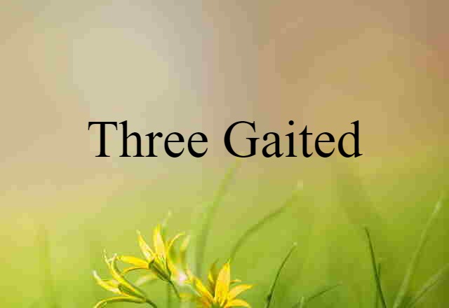 three-gaited