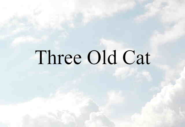 three old cat