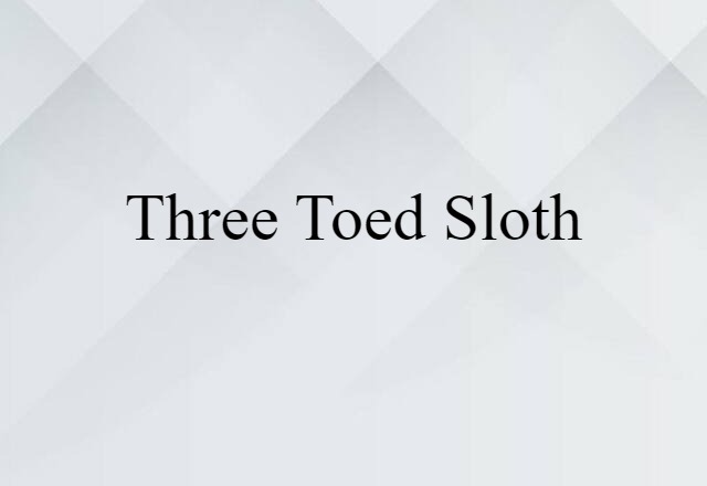 three-toed sloth