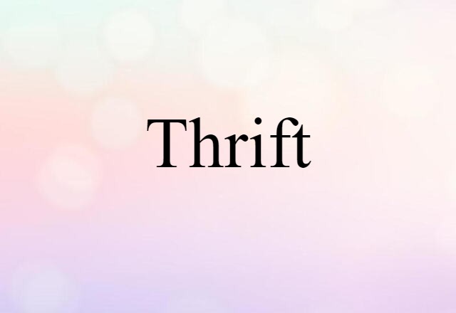 thrift