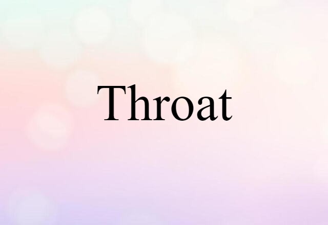 Throat (noun) Definition, Meaning & Examples