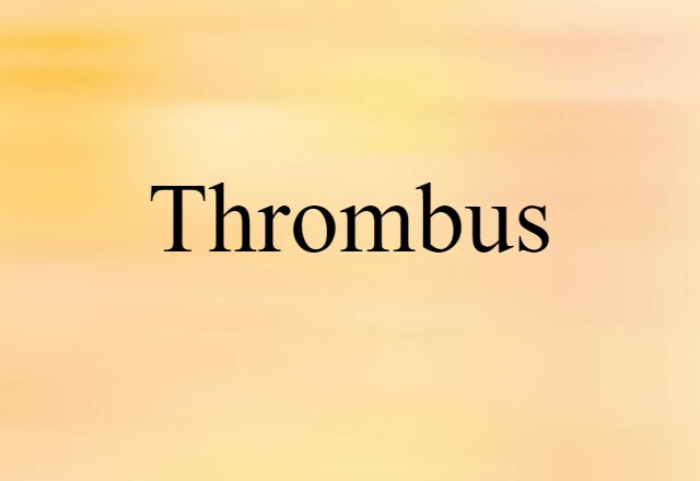 Thrombus (noun) Definition, Meaning & Examples