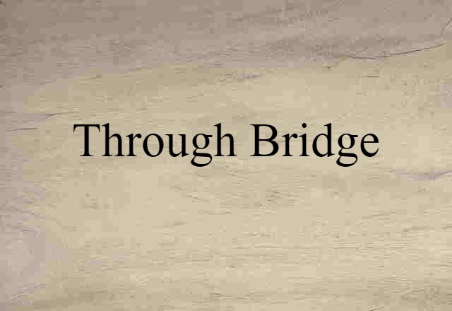 Through Bridge (noun) Definition, Meaning & Examples