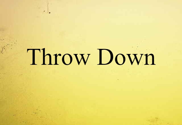 Throw Down (noun) Definition, Meaning & Examples