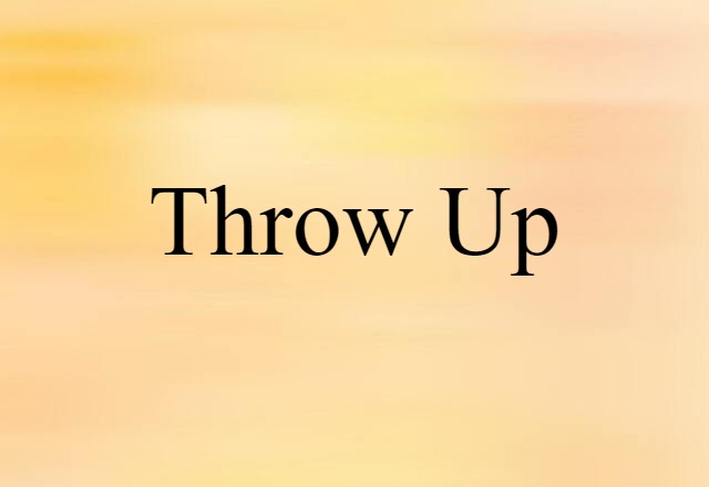 Throw Up (noun) Definition, Meaning & Examples