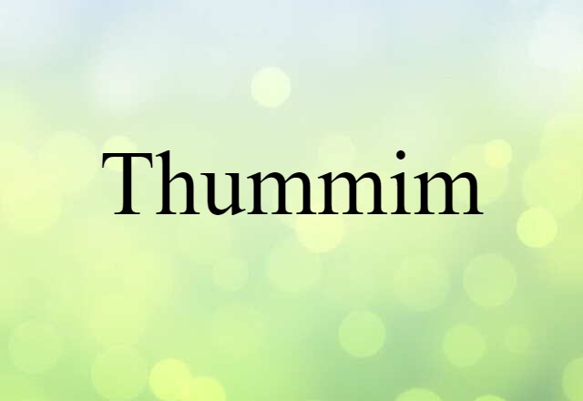 Thummim (noun) Definition, Meaning & Examples