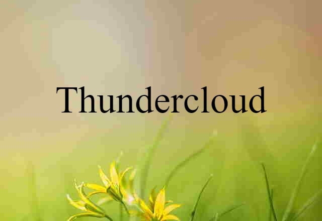 Thundercloud (noun) Definition, Meaning & Examples