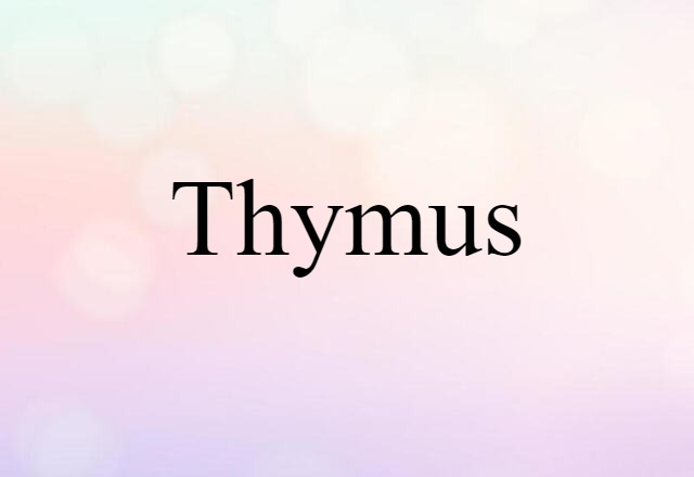 Thymus (noun) Definition, Meaning & Examples