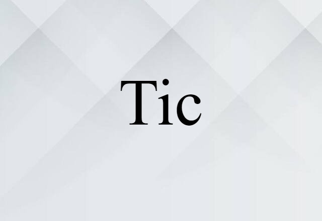 Tic (noun) Definition, Meaning & Examples