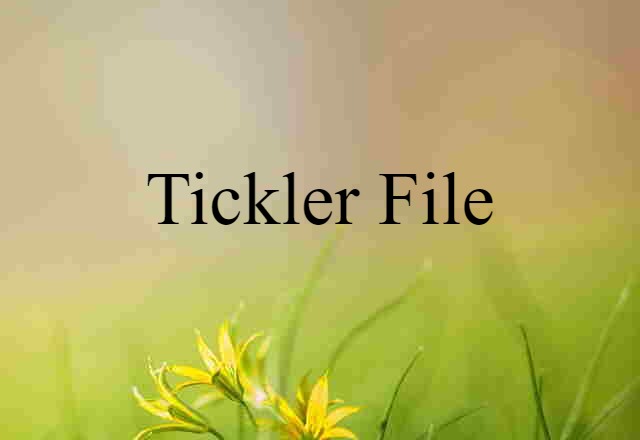 Tickler File (noun) Definition, Meaning & Examples