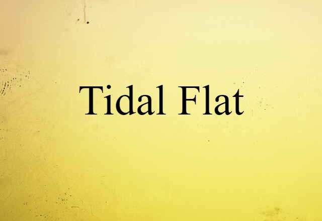 tidal flat