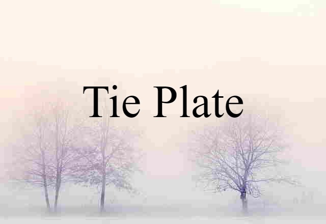 Tie Plate (noun) Definition, Meaning & Examples