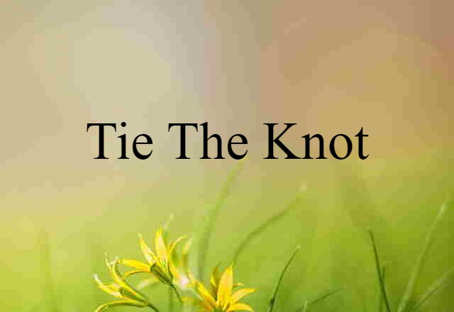 tie the knot