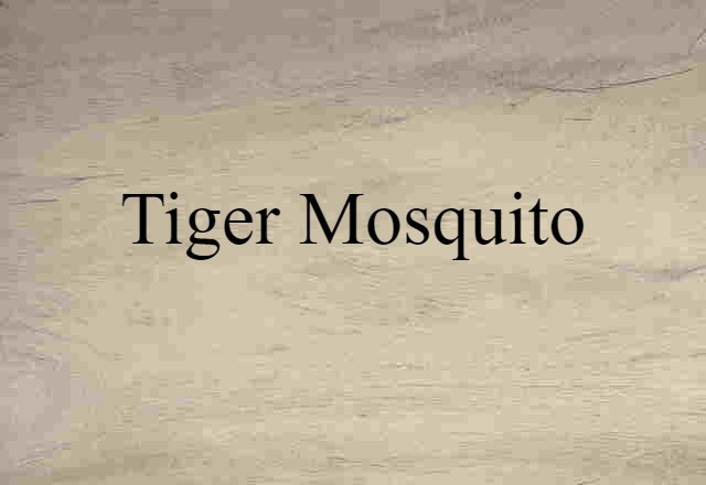 tiger mosquito