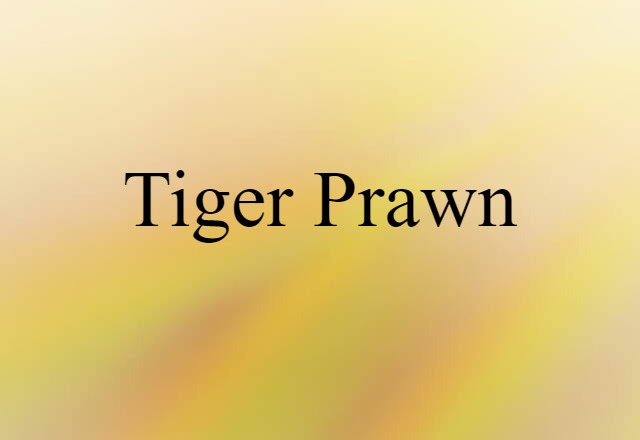 Tiger Prawn (noun) Definition, Meaning & Examples