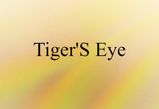 Tiger's-eye (noun) Definition, Meaning & Examples