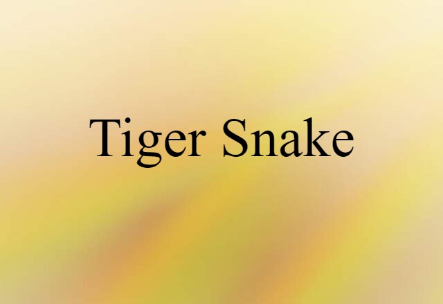 Tiger Snake (noun) Definition, Meaning & Examples