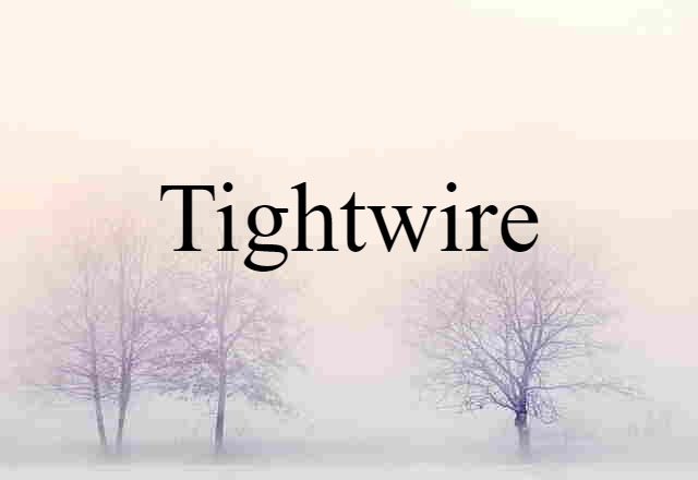 Tightwire (noun) Definition, Meaning & Examples