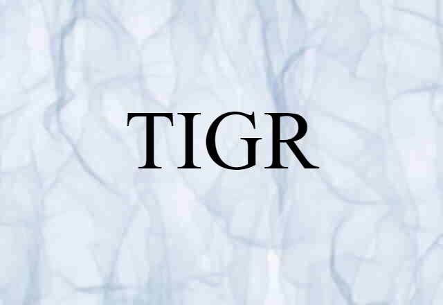 TIGR (noun) Definition, Meaning & Examples