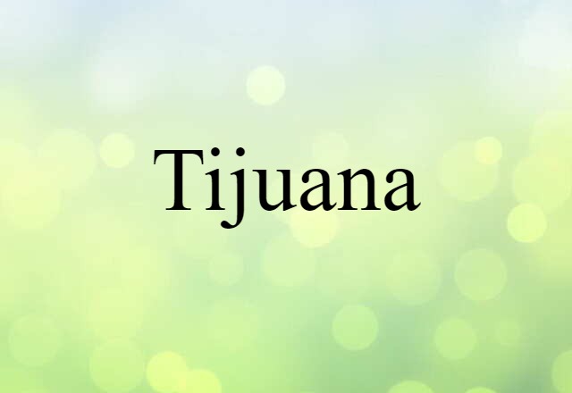 Tijuana (noun) Definition, Meaning & Examples