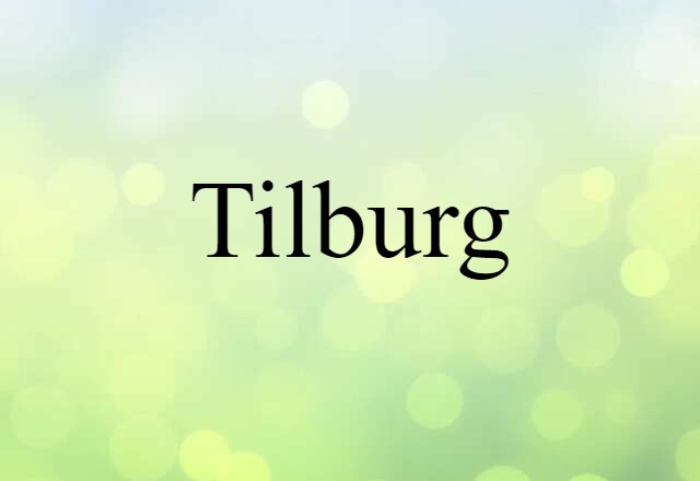 Tilburg (noun) Definition, Meaning & Examples