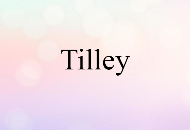 Tilley (noun) Definition, Meaning & Examples