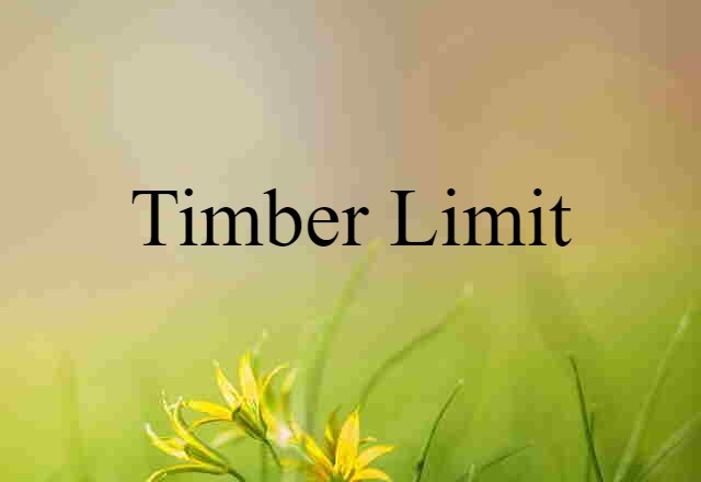 Timber Limit (noun) Definition, Meaning & Examples