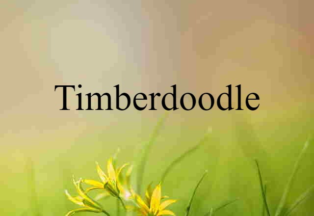 Timberdoodle (noun) Definition, Meaning & Examples