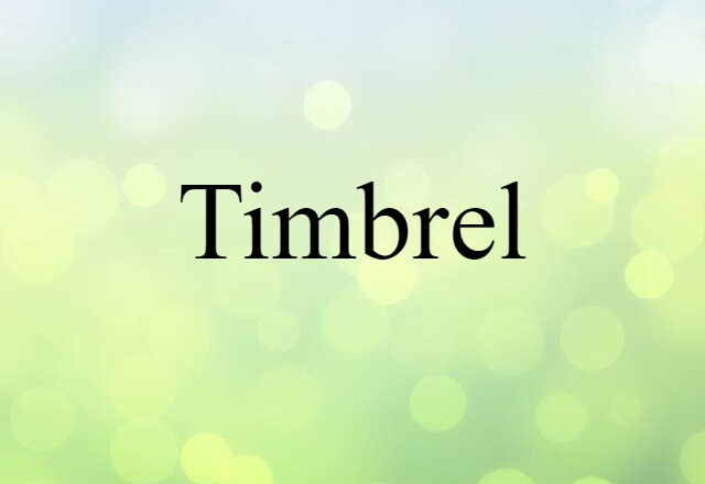 Timbrel (noun) Definition, Meaning & Examples