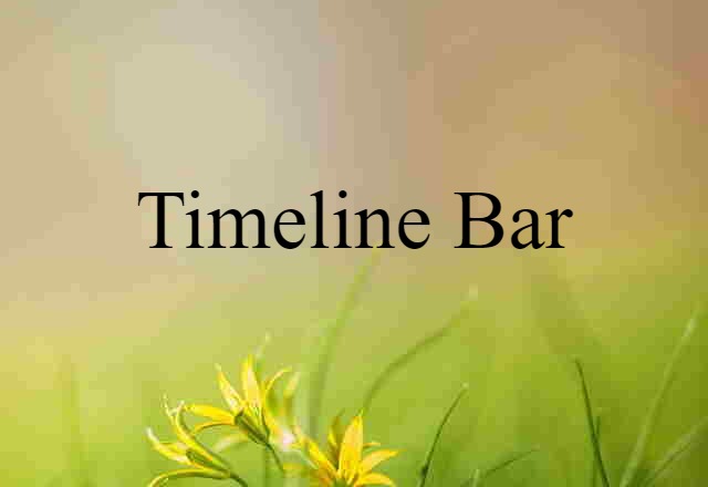 Timeline Bar (noun) Definition, Meaning & Examples